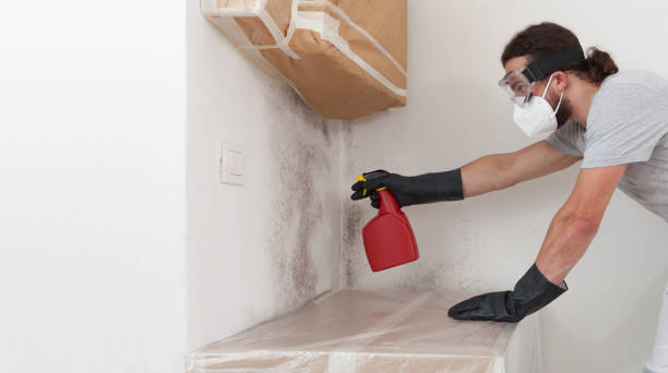 Professional Basement Mold Removal technician working in Wyandanch, NY